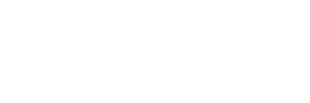 Digicop Demo 2